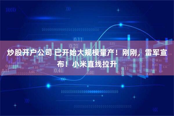 炒股开户公司 已开始大规模量产！刚刚，雷军宣布！小米直线拉升