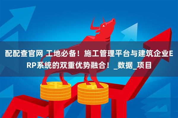 配配查官网 工地必备！施工管理平台与建筑企业ERP系统的双重优势融合！_数据_项目