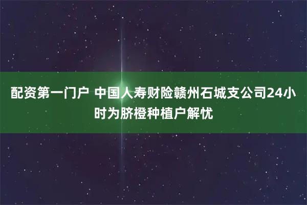 配资第一门户 中国人寿财险赣州石城支公司24小时为脐橙种植户解忧